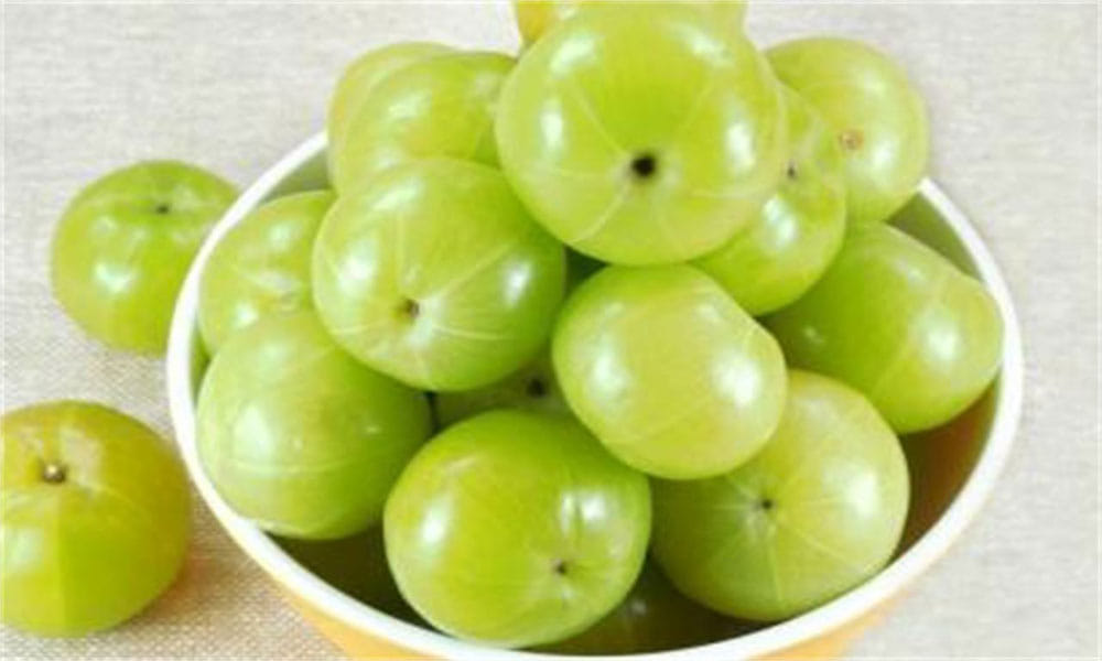 amla navami 2019 importance and puja vidhi