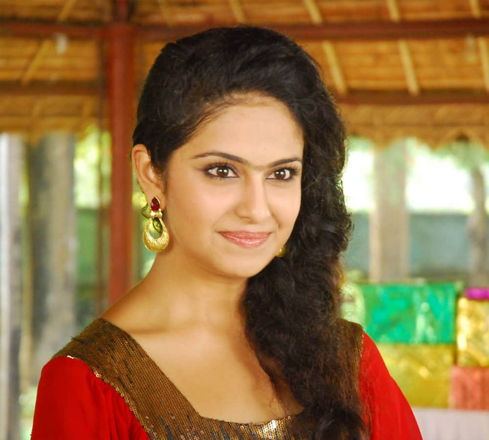 Avika Gor reveals nepotism exist more in south than in Bollywood but bias has been created against Hindi films