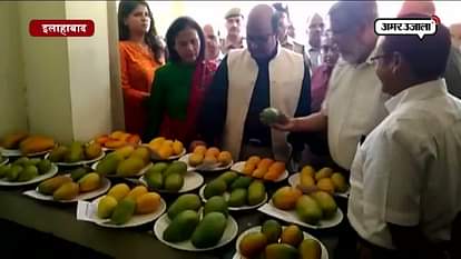 mango festival in Allahabad 