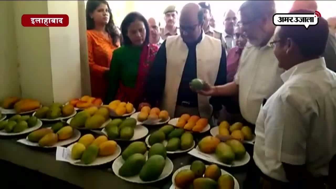 अाम प्रदर्शनी 