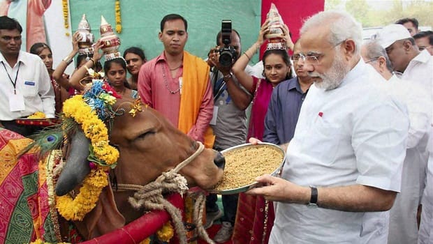 PM narendra Modi Said That Killing In The Name Of Cow Devotion Is Unacceptable
