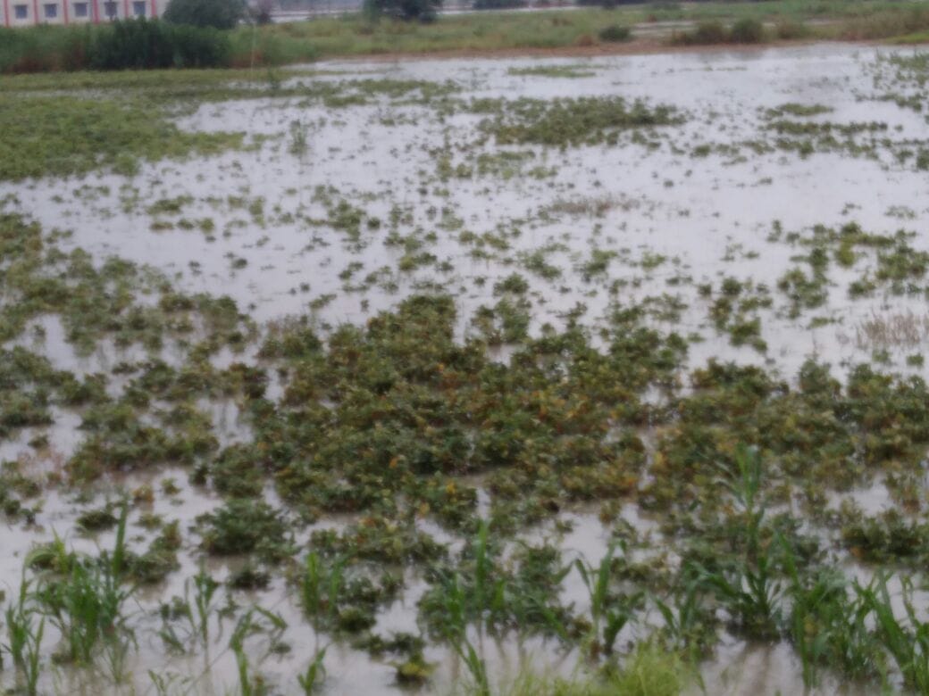 water-lodging in mainpuri and kasganj after heavy rain 