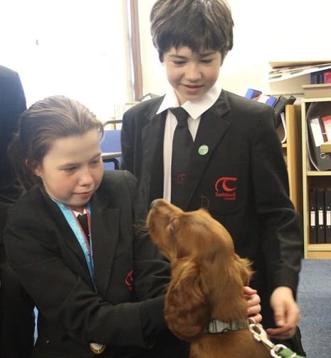 UK Tavistock College employs dog to alleviate student stress