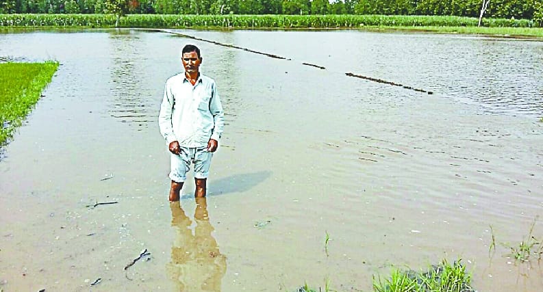 Crude houses collapsed in rain, including 11 sons drowned