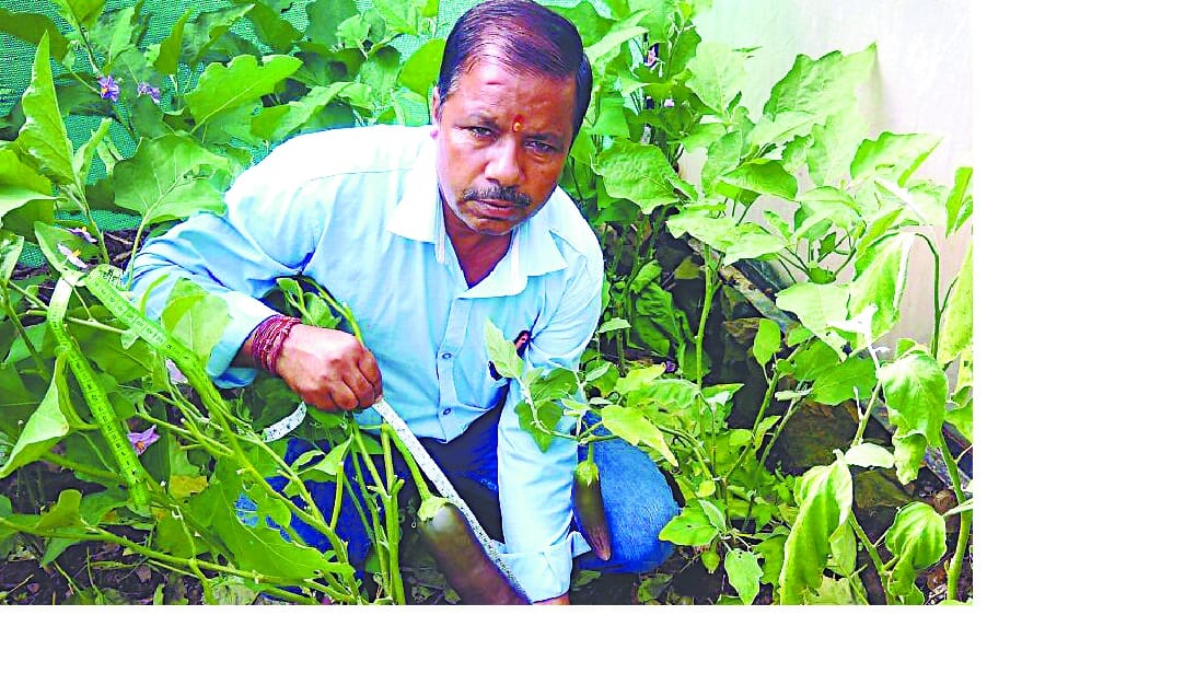 उद्यान विभाग किसानों को देगा अनुदान