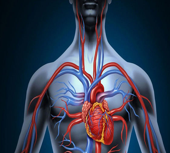 Postural Orthostatic Tachycardia Syndrome pots blood circulation disorder causes and effects