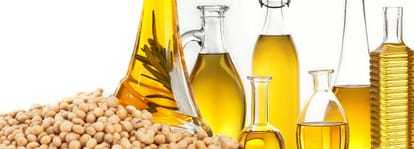 patanjali honey found sub standard in fsda raid in lucknow