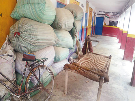 Filled straw in the classroom, how will it be studied