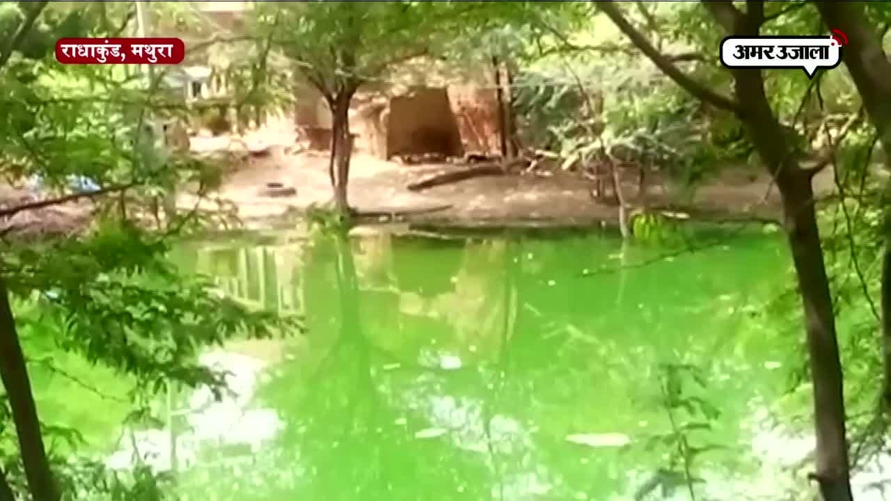 मथुरा 
