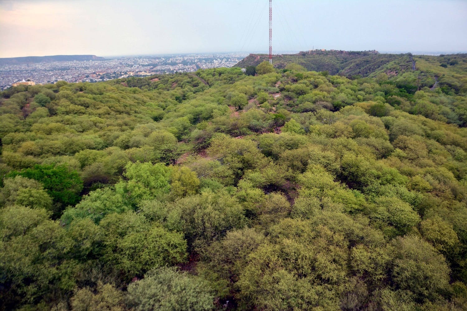 jaipur green city 