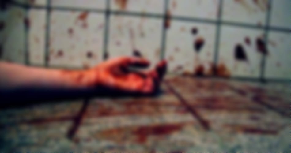 rohtak father, son murder for land