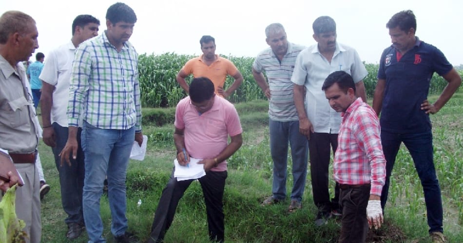 rohtak father, son murder for land