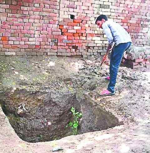 Many toilets do not have homes