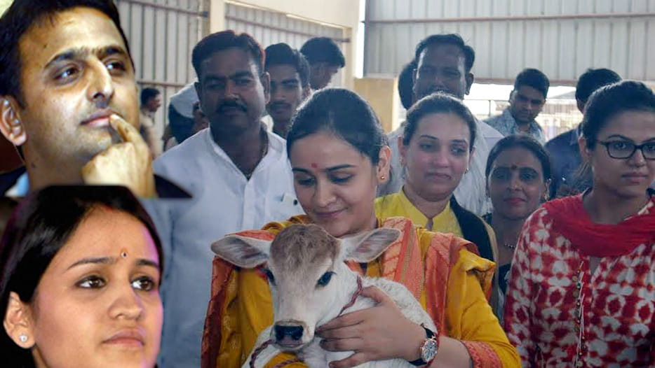 aparna yadav says about ngo grant