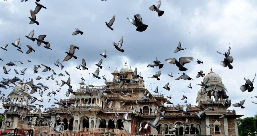 story of jaipur and why it is known as paris of india 