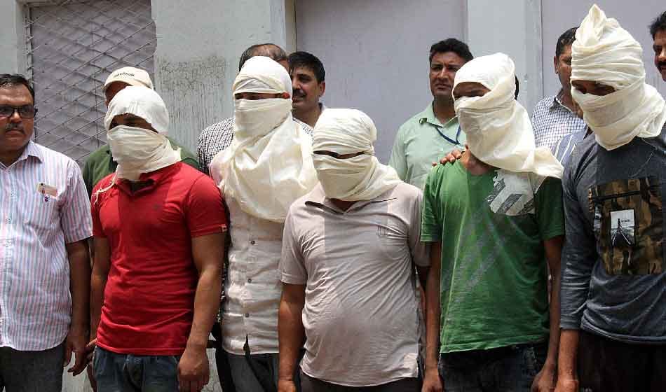 animal thief gang told that how they stolen them in delhi