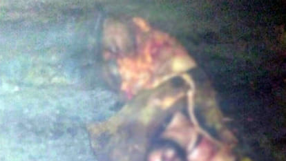horrific accident on overbridge fragments of corpse