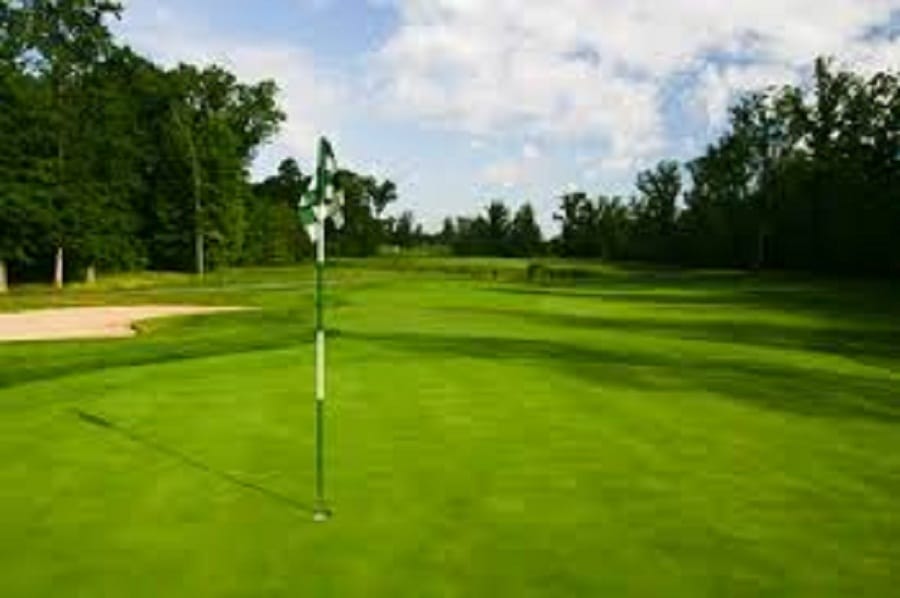 Viral video of moose chasing a golfer