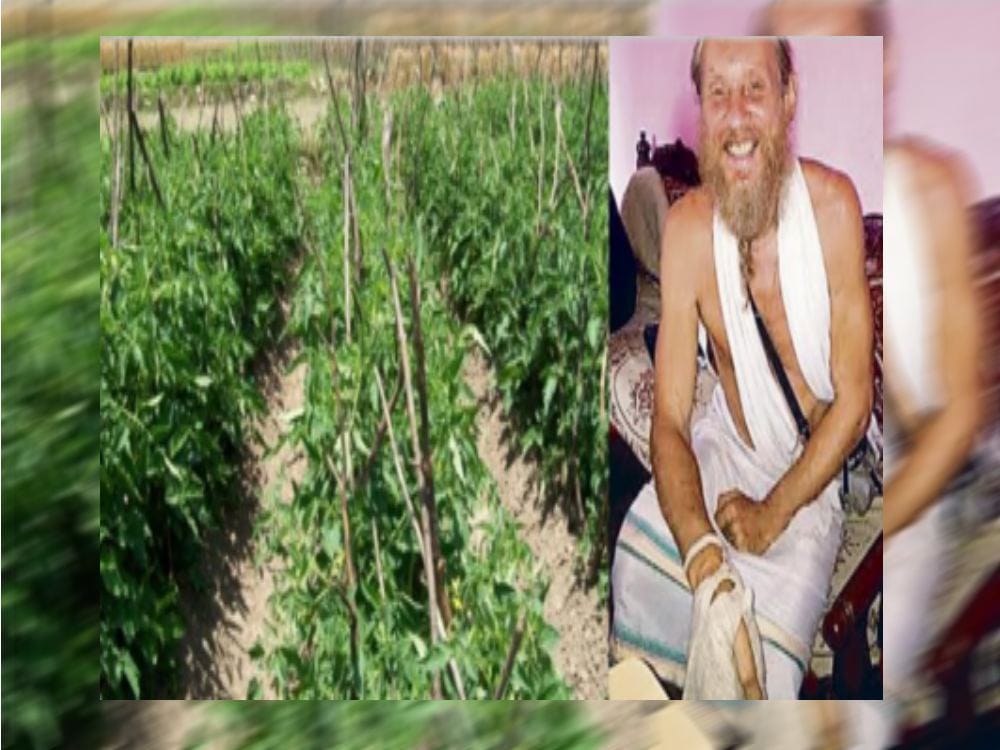 Russian citizens doing farming in india