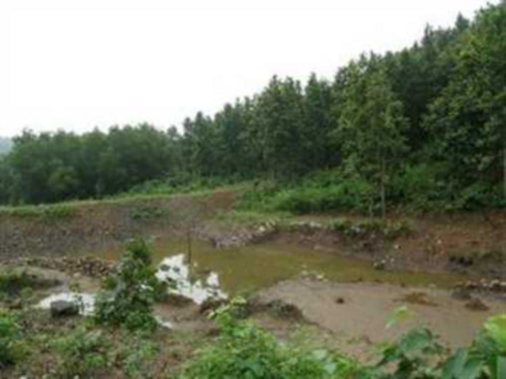 Illegal occupation of forest land, Uttarakhand third state with maximum encroachment on forest land in Himalayan states