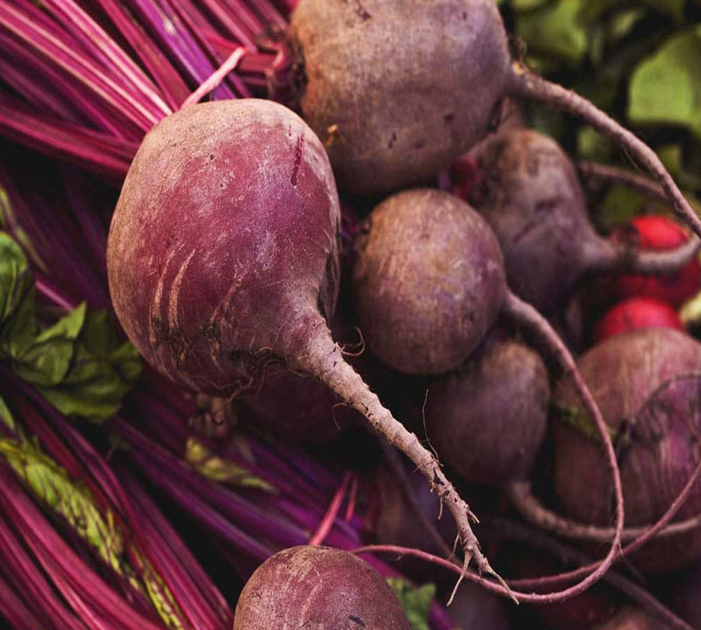 These 5 Foods Are responsible for Making You Smell Bad 