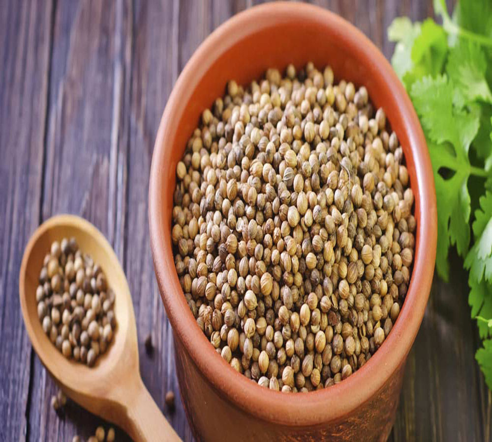 health benefits of coriander leaves and seeds