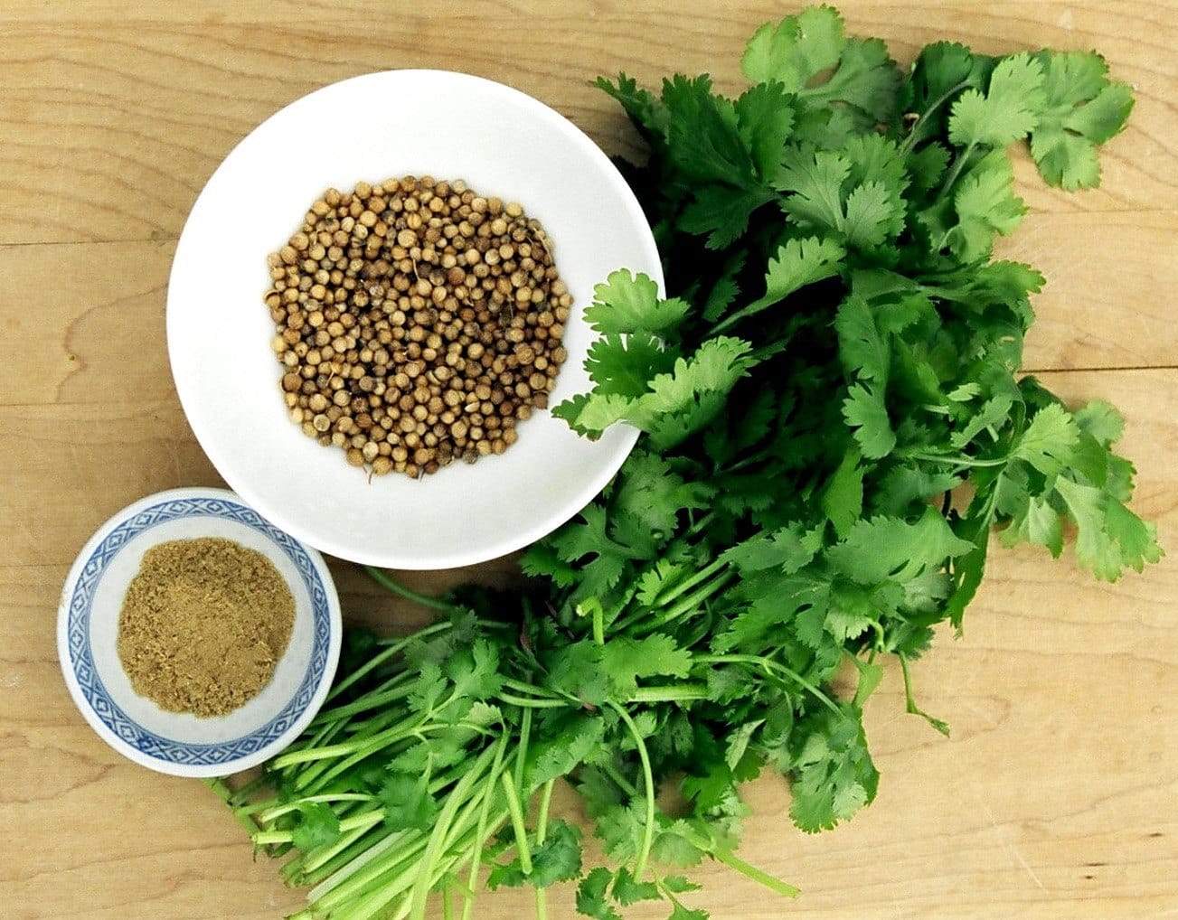 Coriander Seeds Help Manage Blood Sugar Levels And Controls Diabetes