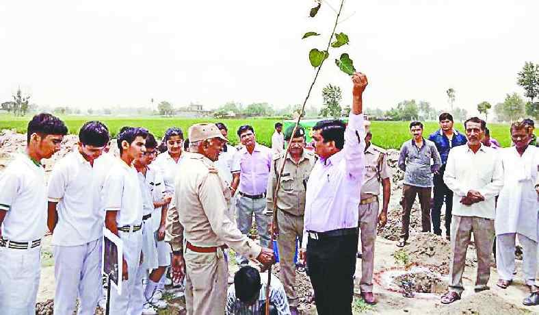 Children can not tell the importance of the environment