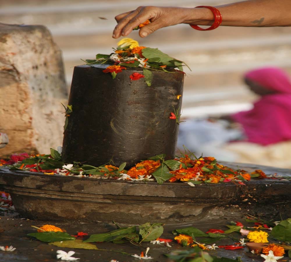 know about favorite flowers of hindu gods and goddess