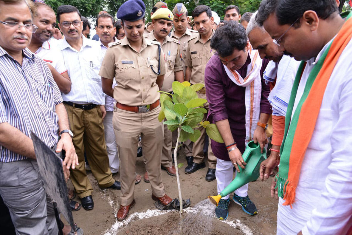 Forests come forward to save our property