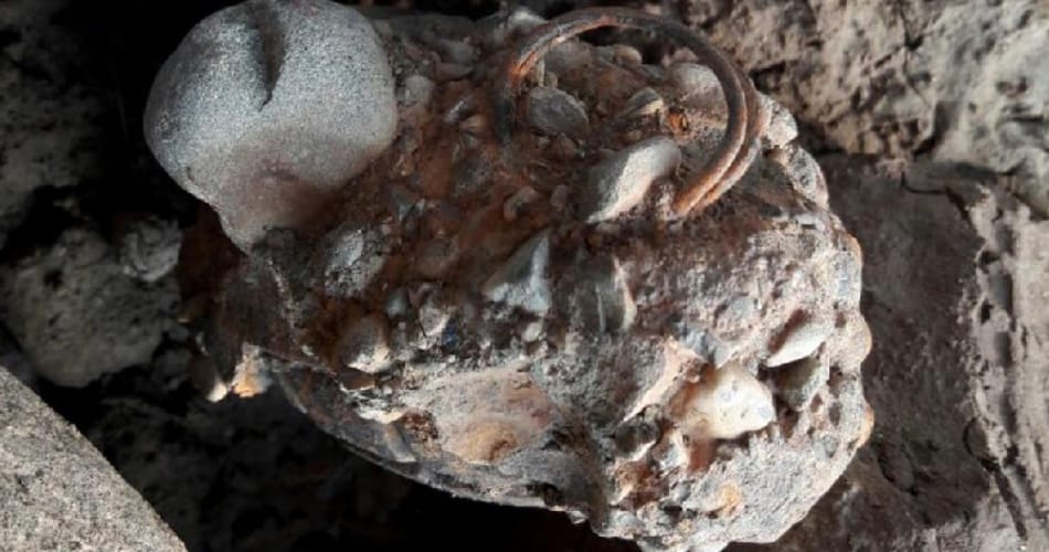 alive hand grenade found near pond in rohtak