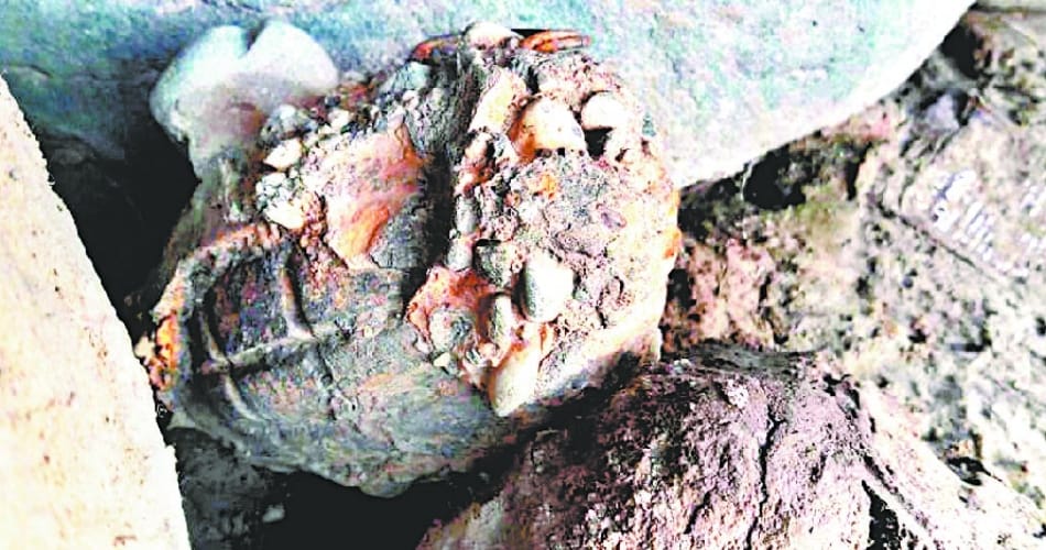 hand granade found in ghaggar river