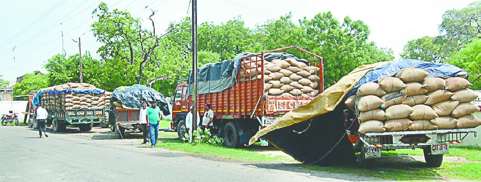 SP City caught millions of wheat, supply department gave clean chit