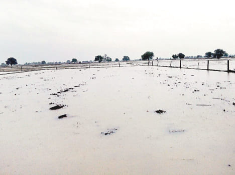 Rainfall of monsoon, 36 mm rain in the mandal