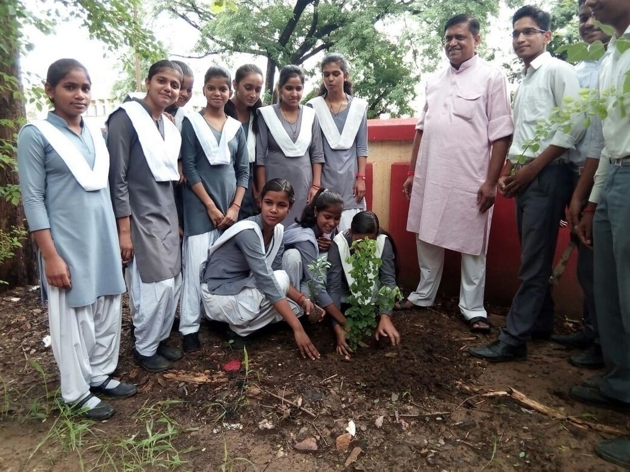 on the occassion of forest festival a large number of plants have been planted 