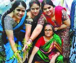 Plantation drive in city