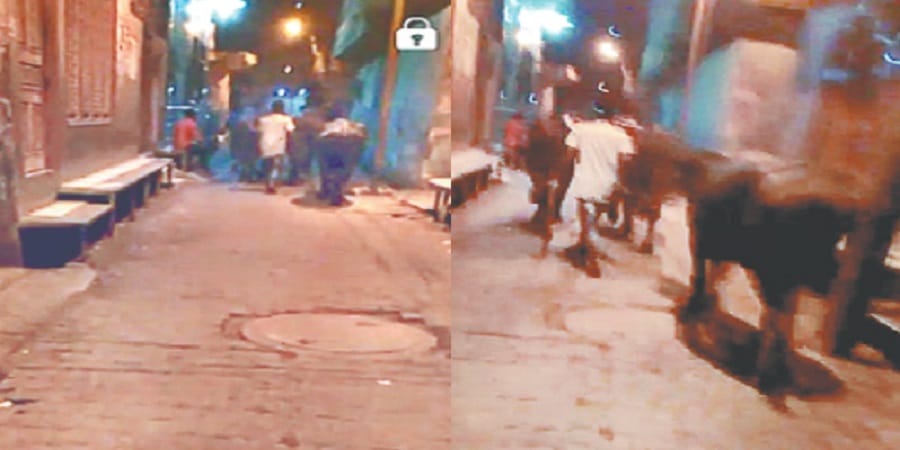 Animals are cut after midnight here, business going on collusion with police