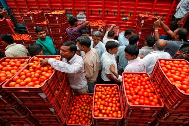 tomato price hike due to weather effect
