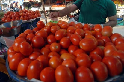 tomato price hike due to weather effect