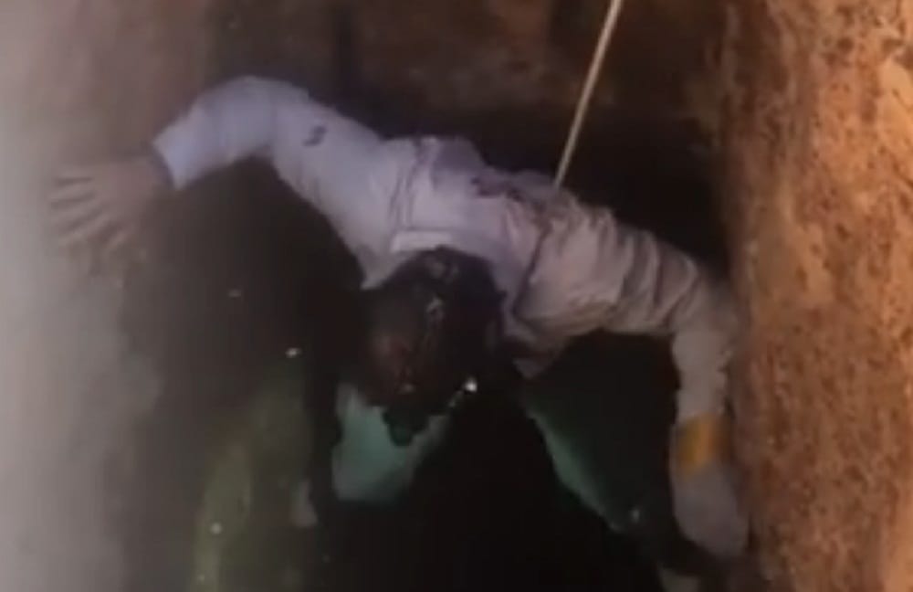 watch how Ross McGibbon saves life of 5 deadly snake 