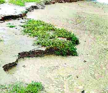 Ghaghra reach near the danger mark