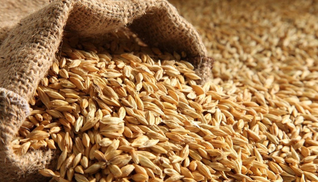 home remedies to get rid of dark elbow
