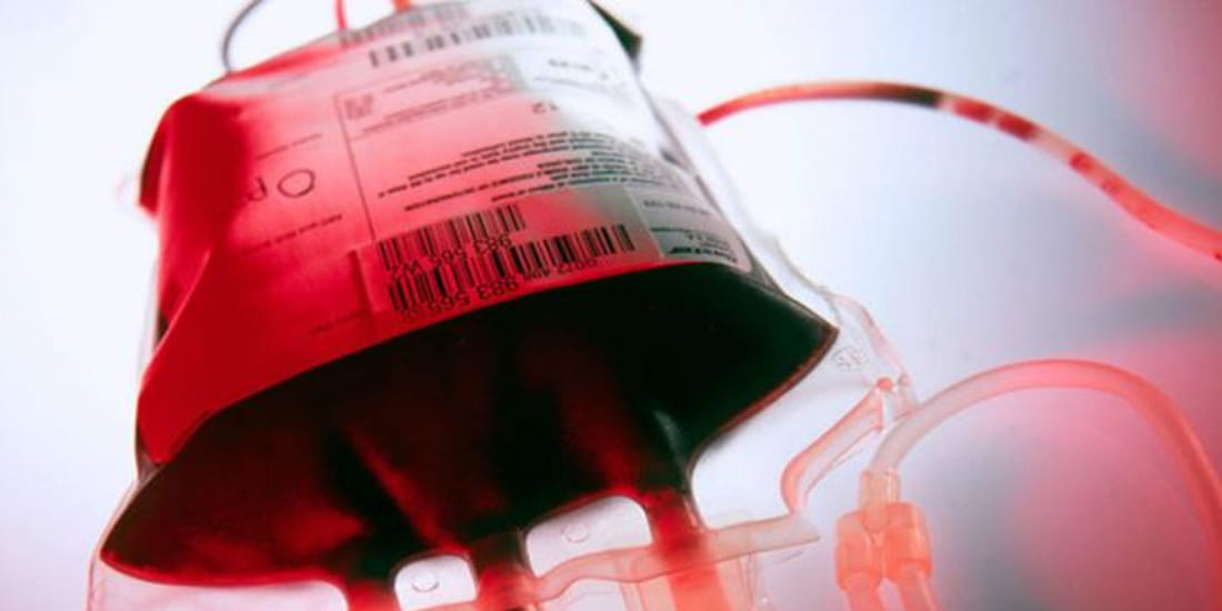 Give me blood I will give you government of 2019th