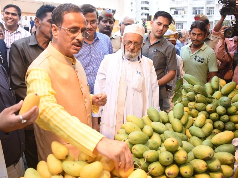  pics of mango festival in Lucknow.