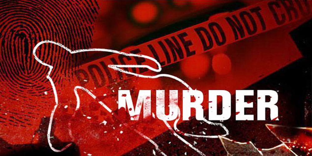 Son-in-law murdered mother in law