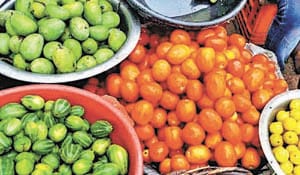 tomato
