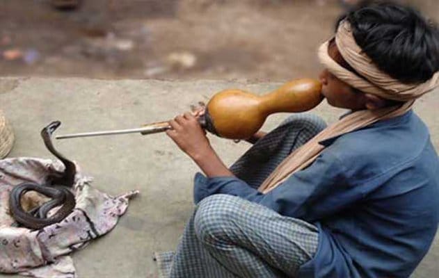 lda spent fifty lakh rupees for catching snakes from janeshwar mishra park in lucknow