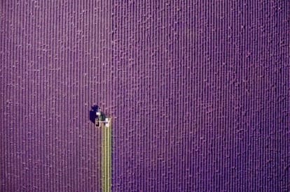 Look how the earth looks from the sky, see photos