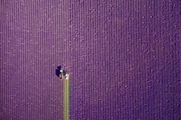 Look how the earth looks from the sky, see photos