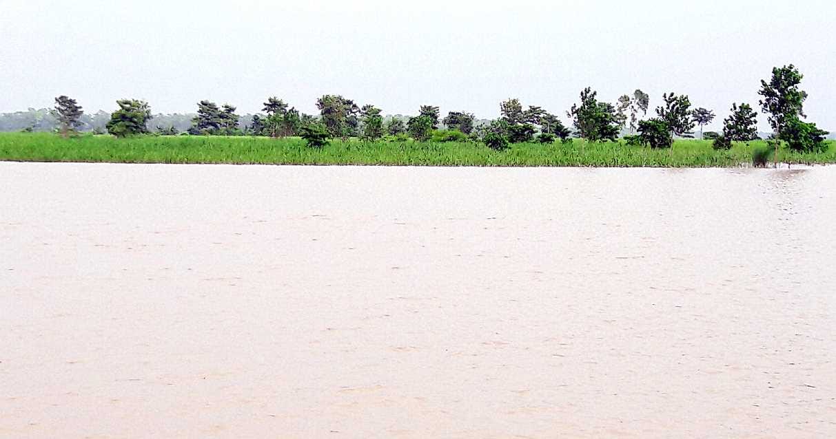 Flood water in several houses of Janakpur